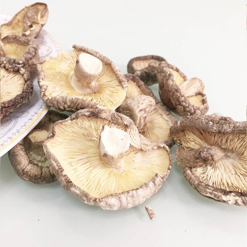 双味客农家新鲜香菇干货小香菇250g珍珠菇金钱菇迷你小冬菇香菇
