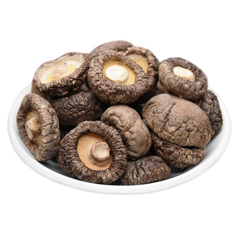 粉丝福利购优惠券10元