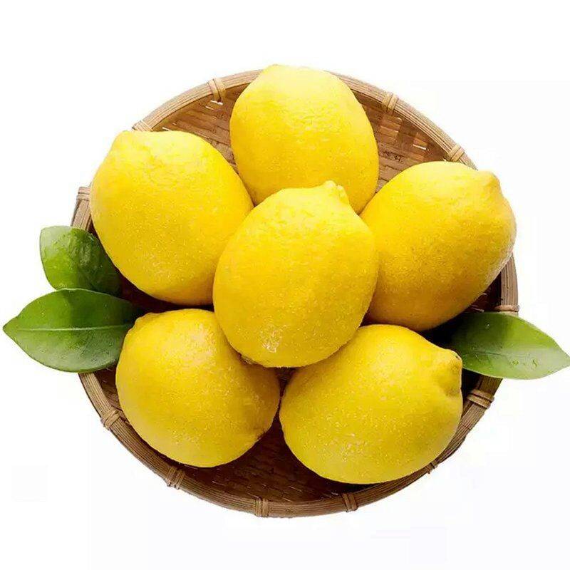 四川特产2斤新鲜小果小柠檬