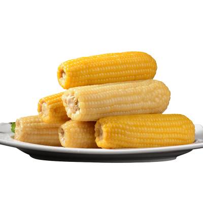 东北黏玉米真空装包东北糯玉米甜糯粘棒子新鲜即食玉米 非转基因